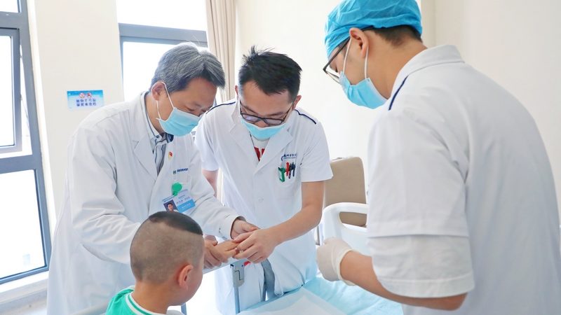 易胖体质调理：揭秘背后的科学原理与误区**